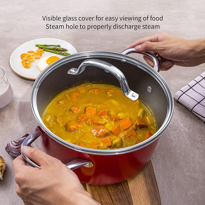 HITECLIFE 10 Piece NonStick Aluminum Cookware Set Wayfair